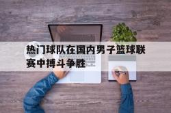 开云体育在线-热门球队在国内男子篮球联赛中搏斗争胜