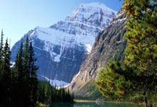 开云足球直播-关于卡利亚里需在下一场比赛中止连败，挣扎求胜的信息