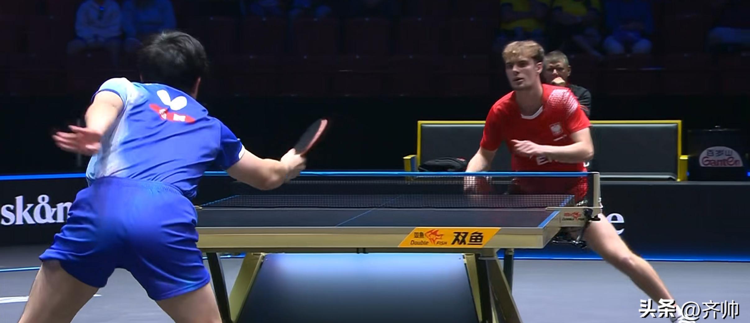 中国乒乓球队横扫波兰乒乓球队，张本智和制霸全场的简单介绍