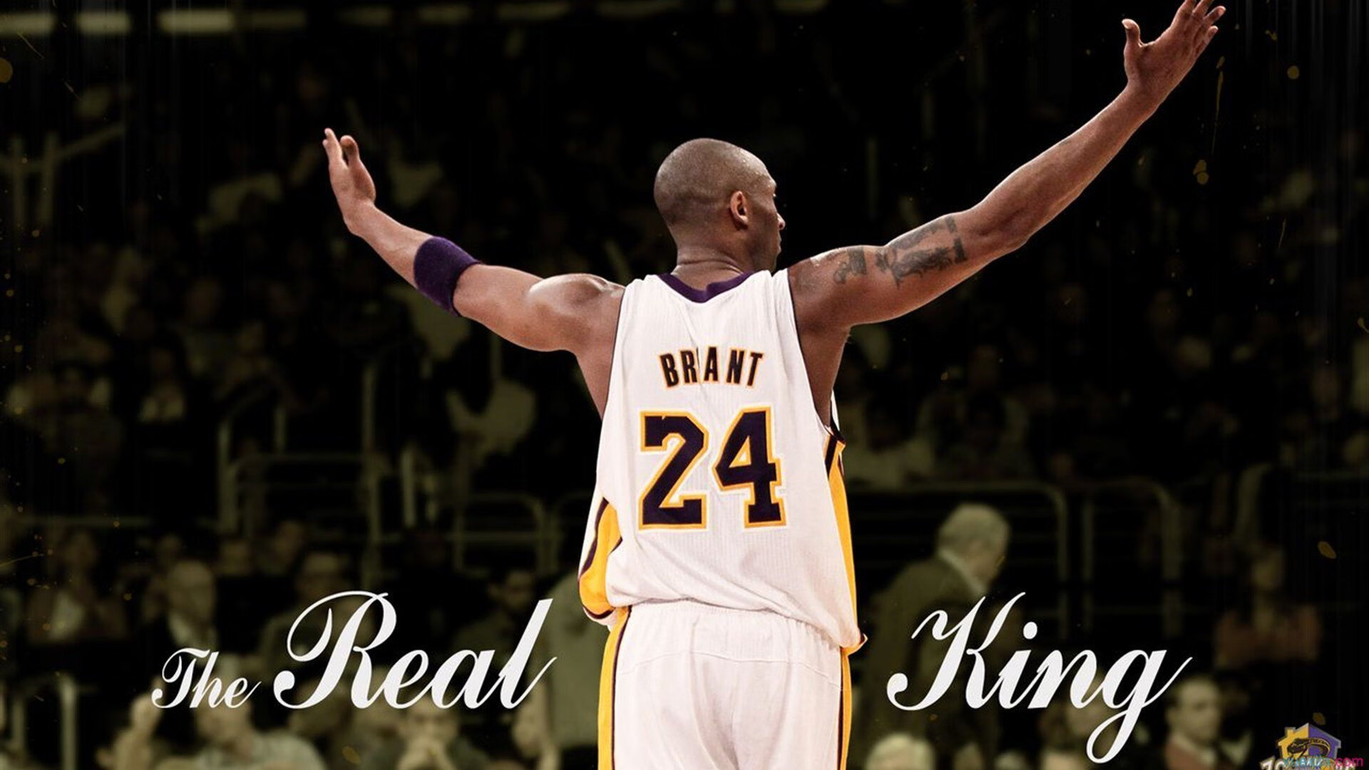 约基奇在焦点战证明自己,步行者一波带走深圳队